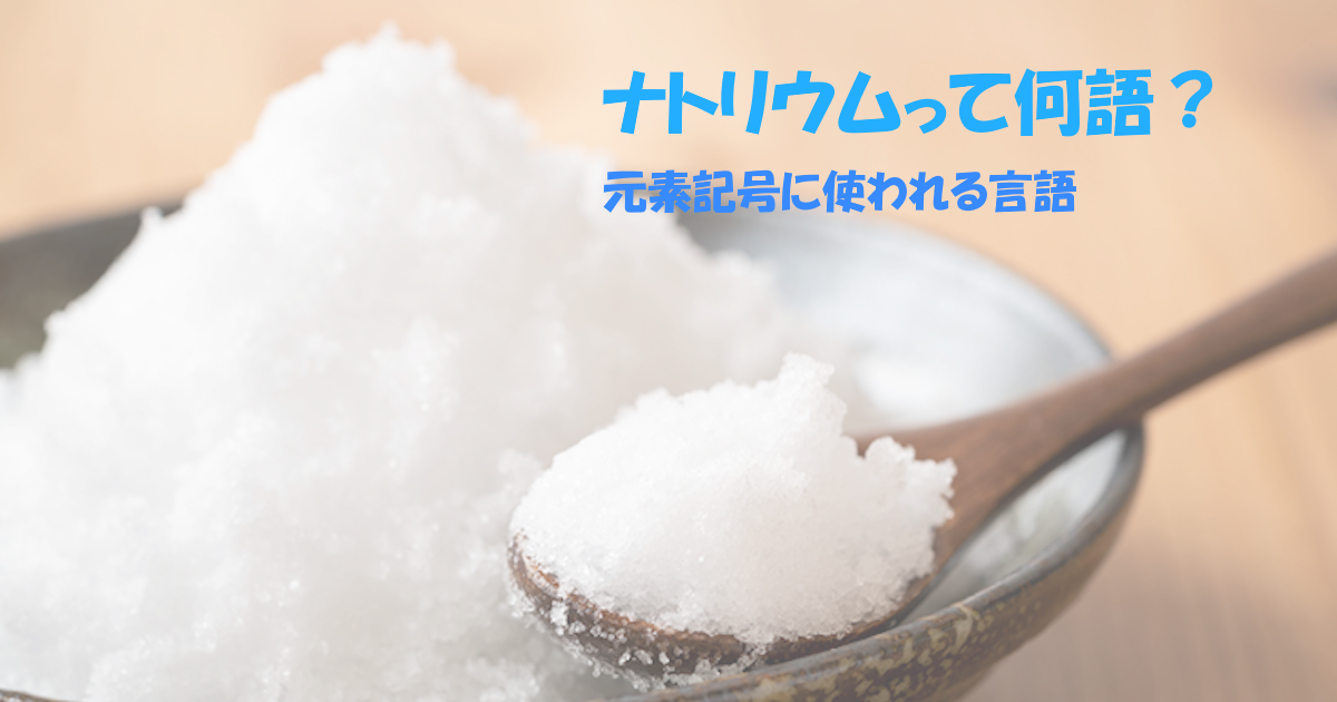 ナトリウムって何語