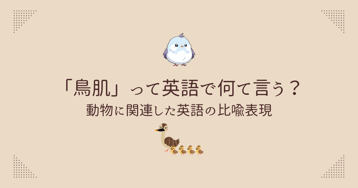 鳥肌