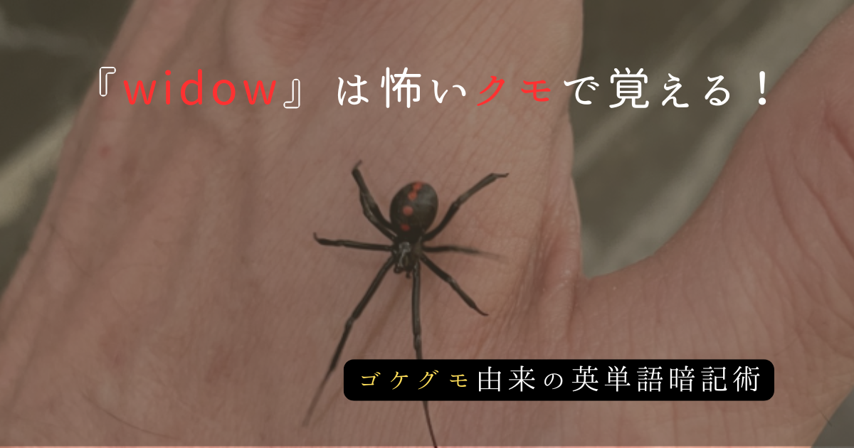 widowをクモで覚える