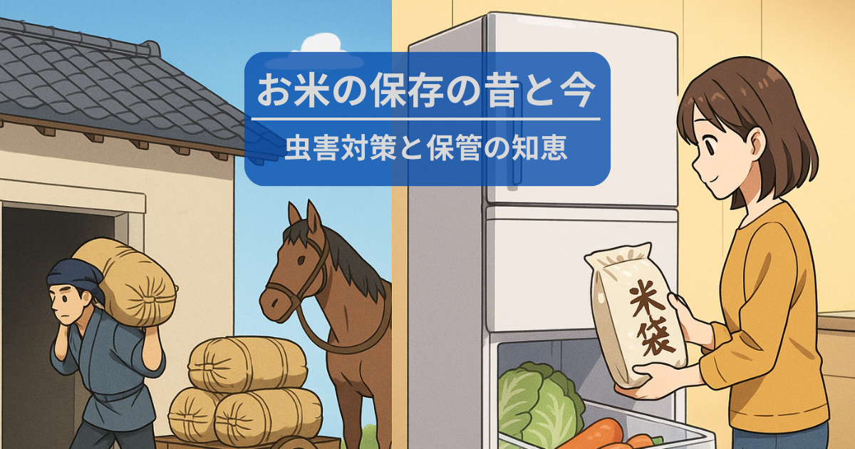 お米の保存の昔と今
