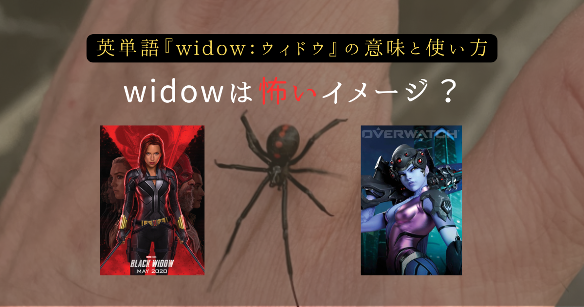 怖いイメージ「widow」